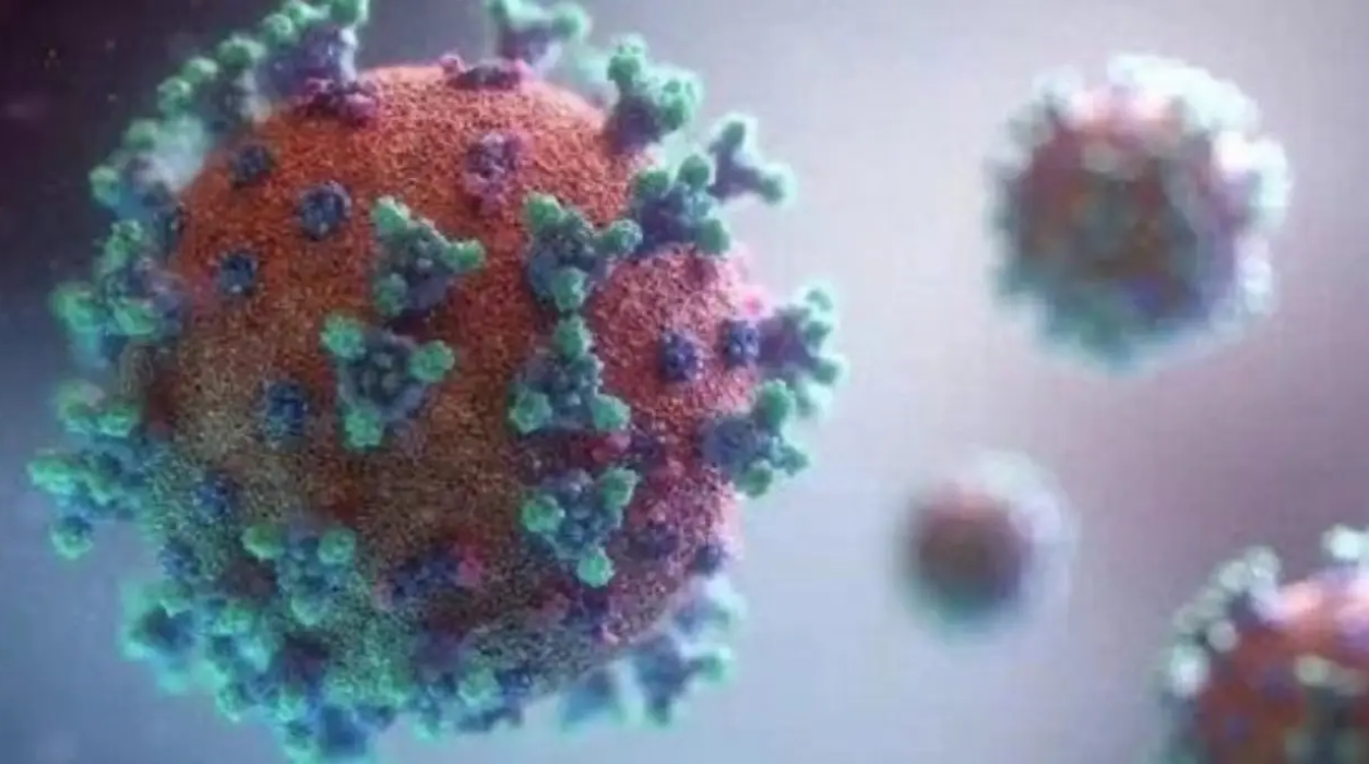 新抗体可中和新冠病毒目前已知所有变种，将催生新型新冠疫苗