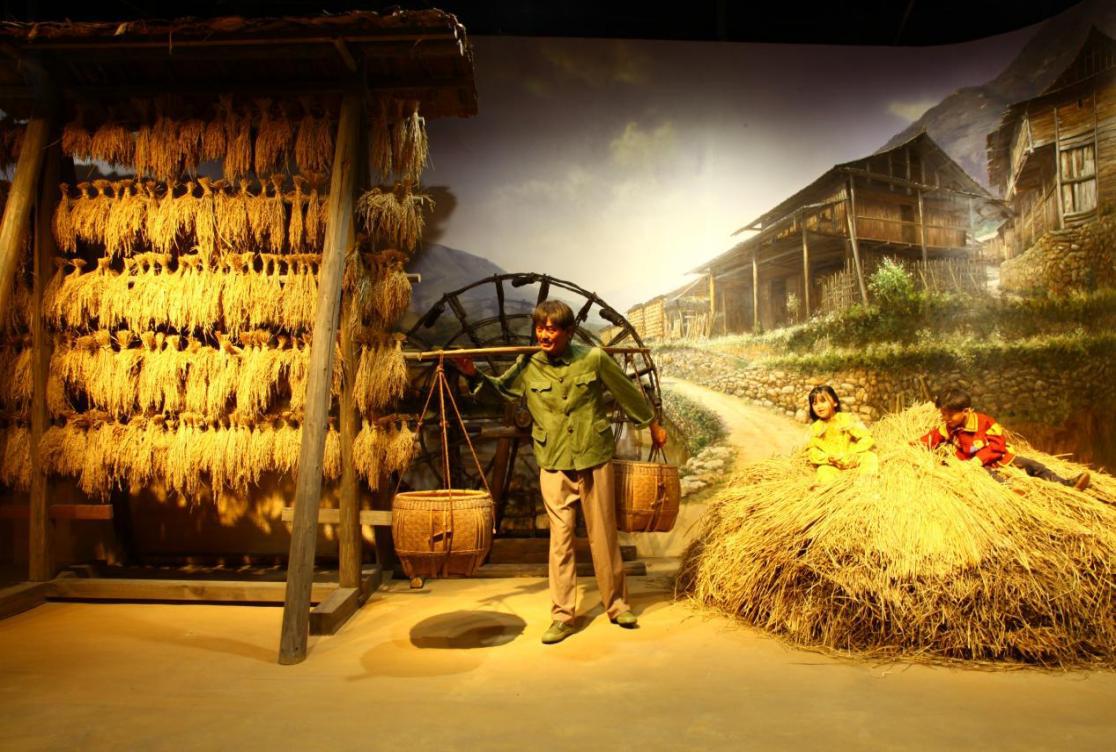 好评中国·走进湖南丨隆平水稻博物馆:国内首家水稻文化专题博物馆_市州动态_政务频道_红网