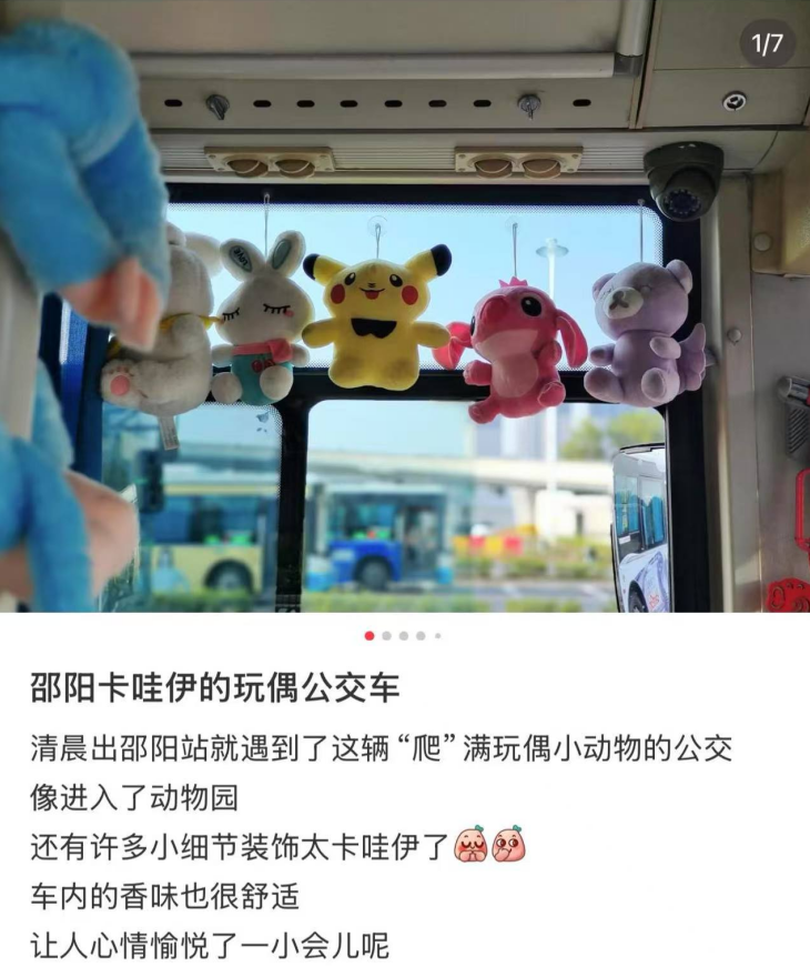 挂满绿萝和玩偶，邵阳司机大姐自费900元装饰公交：工作环境也可以像家一样舒适温馨